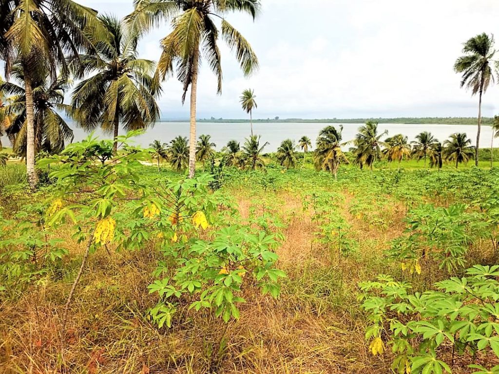terrain a vendre adiake