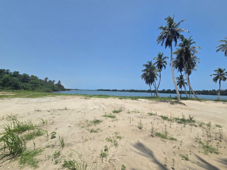 Terrain à vendre – Assinie