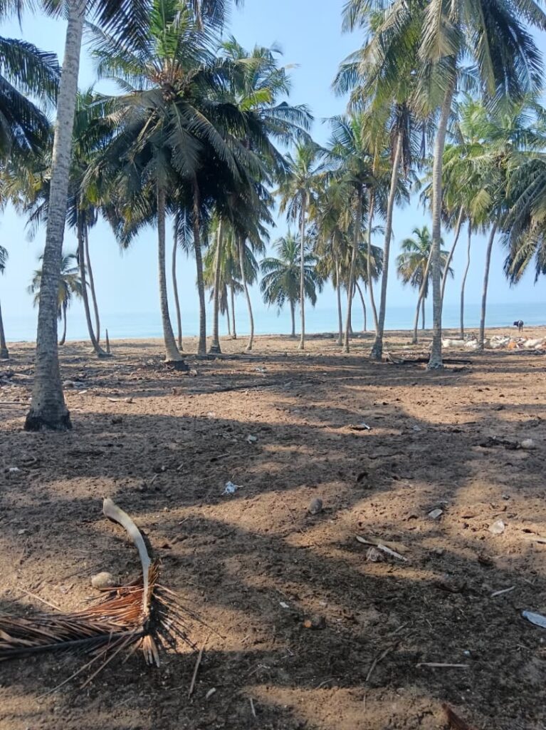 Terrain bord océan – Songon